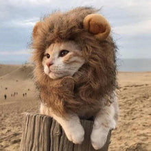 Load image into Gallery viewer, Pet Hair Headgear For Small Dog And Cats, Mane Wig Puppy Costume
