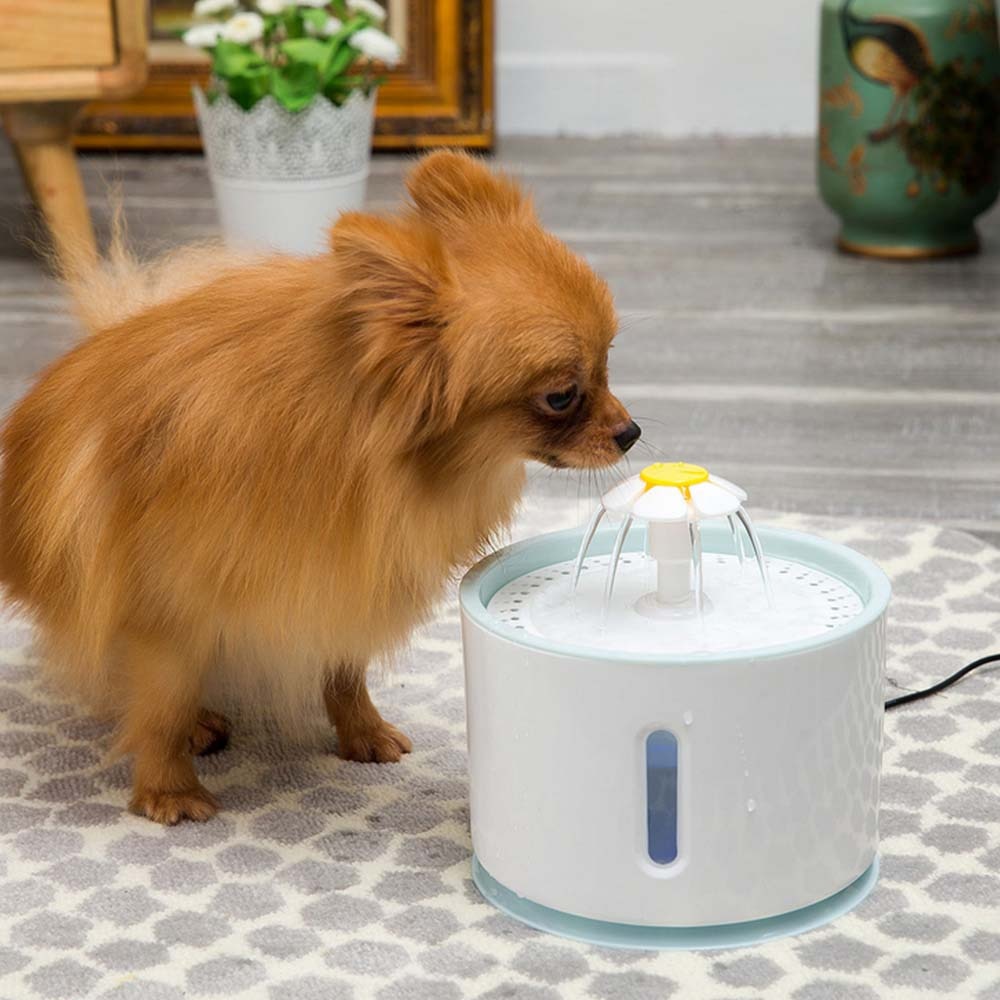 2.4L Capacity Automatic Cat Dog Electric Pet Drinking Fountain with LED Pet Bowl Drinking Water Dispenser Drink Filter Safe